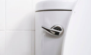 A close-up of a toilet handle.